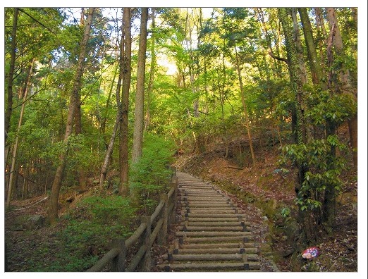 美濃山 感状山
