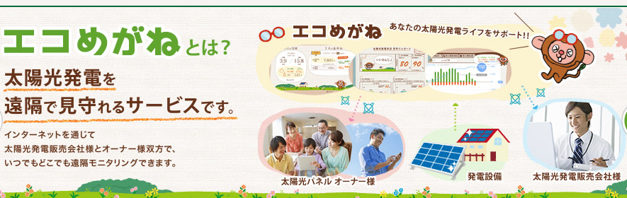 エコめがね