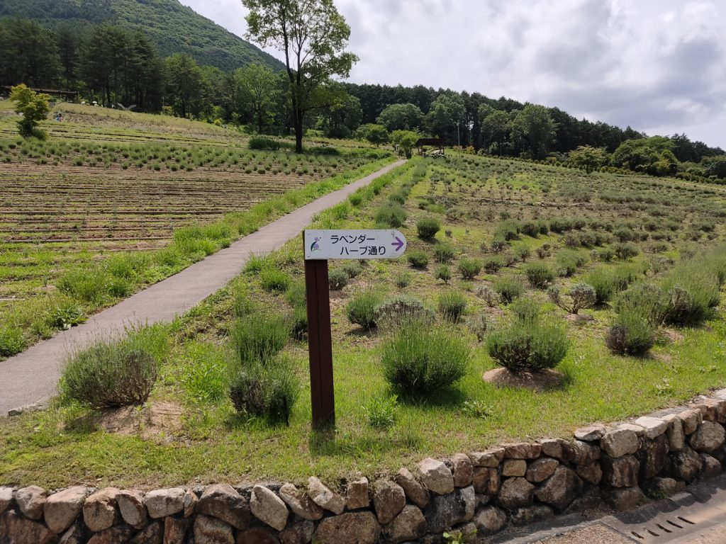 ラベンダーパーク多可