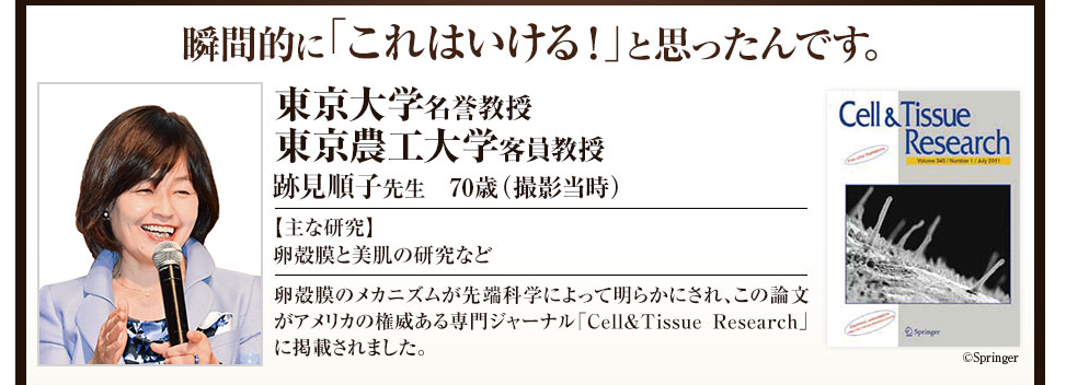 東京大学教授