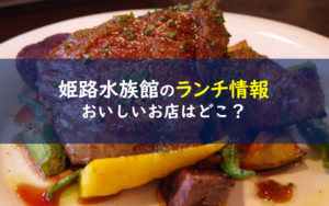 姫路市立水族館 ランチ