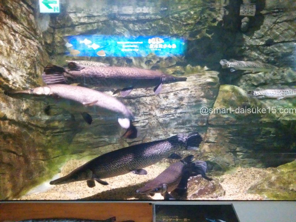 姫路市立水族館　新館