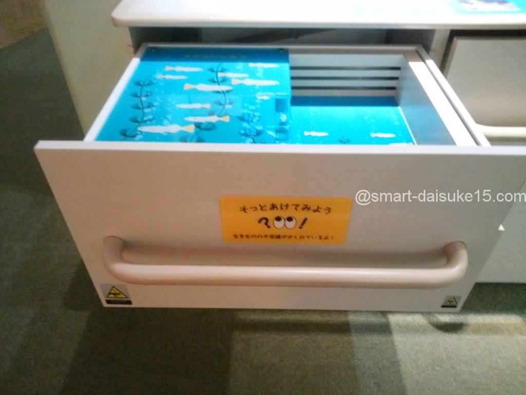 姫路市立水族館 展示