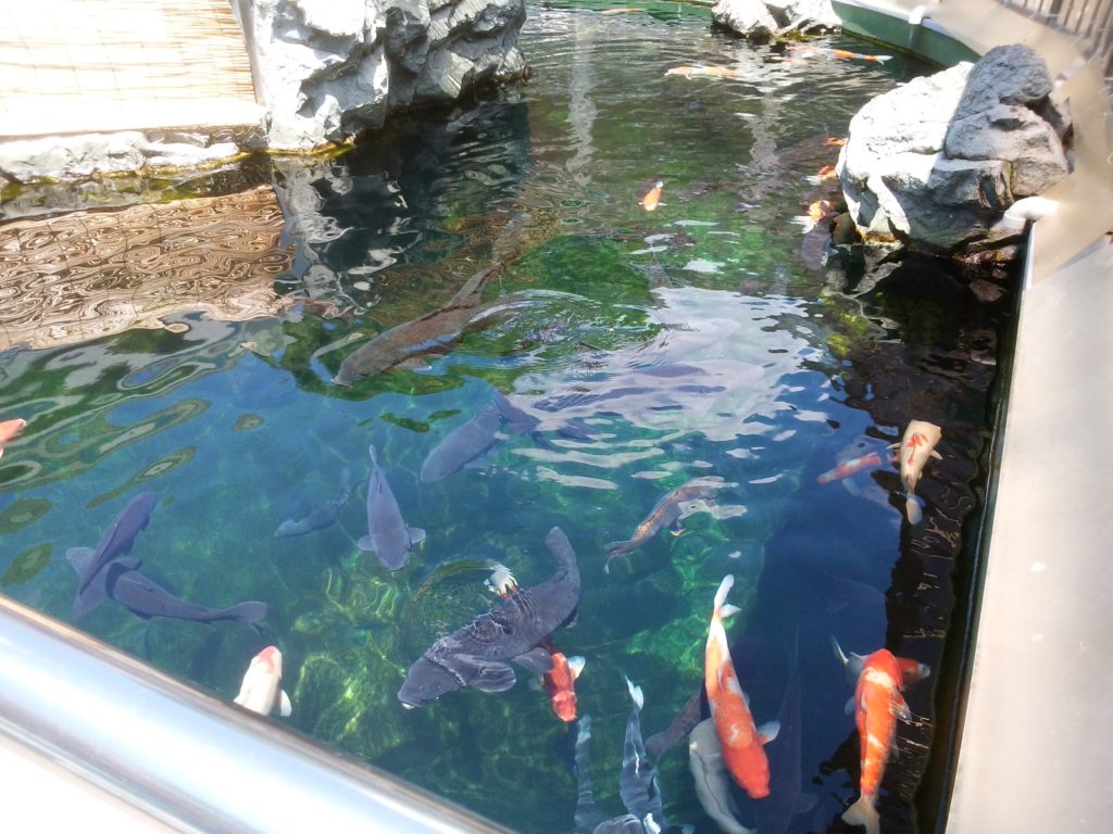 姫路市立水族館