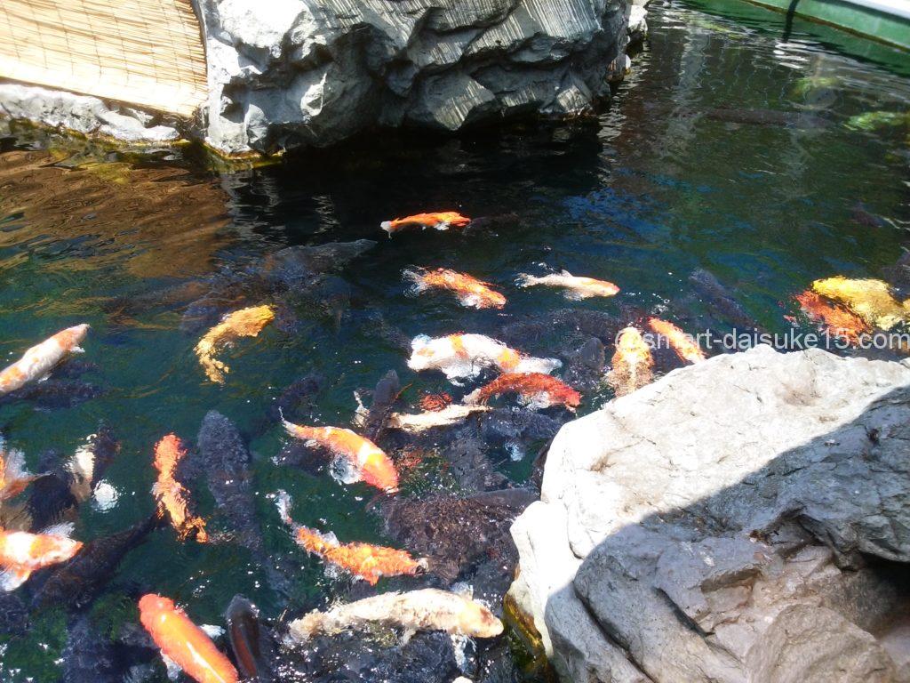 姫路市立水族館