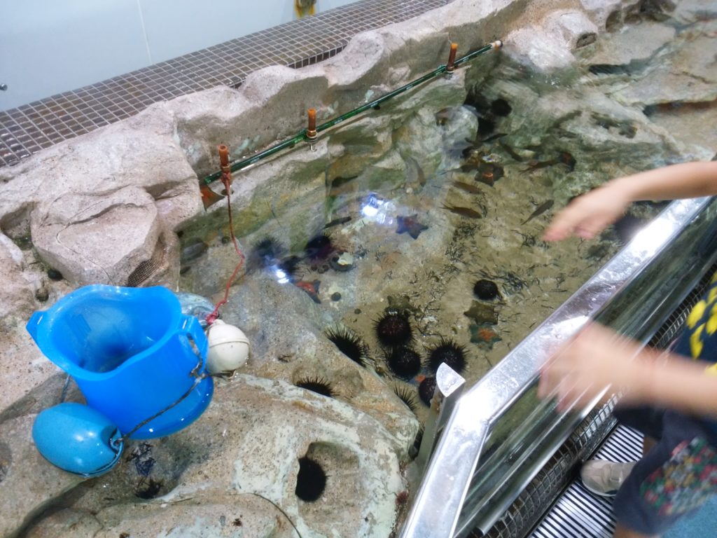 姫路市立水族館