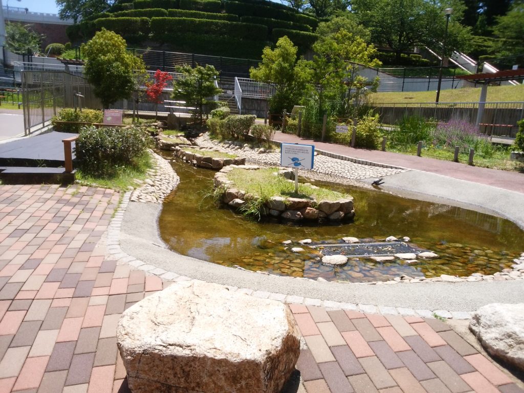 姫路水族館　じゃぶじゃぶ小川