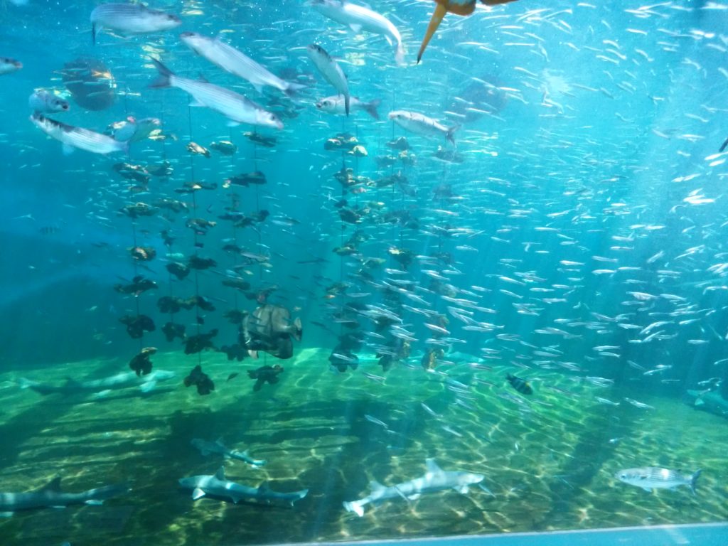 姫路市立水族館