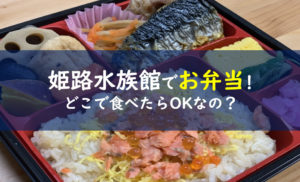 姫路市立水族館 お弁当