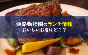 姫路動物園 ランチ