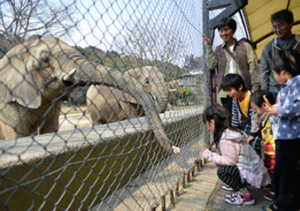 姫路市立動物園 姫路セントラルパーク