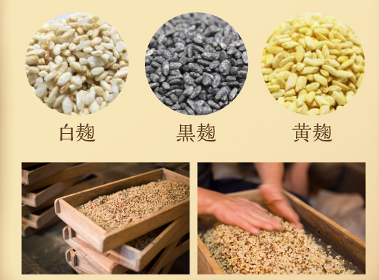 麹菌発酵生酵素