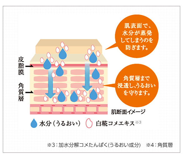 白糀コメエキス