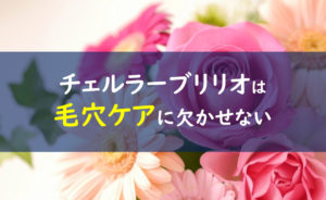 チェルラーブリリオ 毛穴