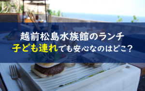 越前松島水族館 ランチ