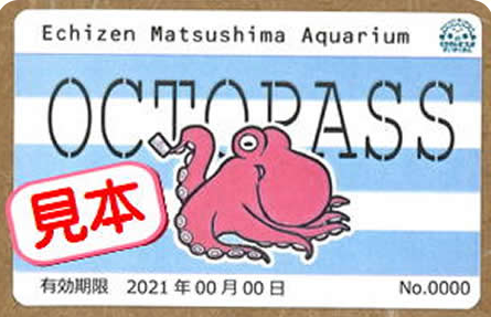 越前松島水族館 年間パスポート