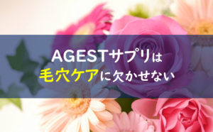 AGESTサプリ 毛穴
