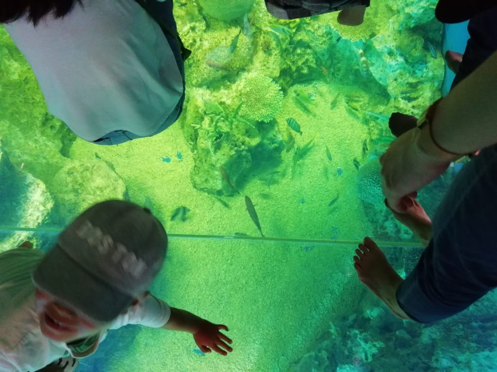 越前松島水族館