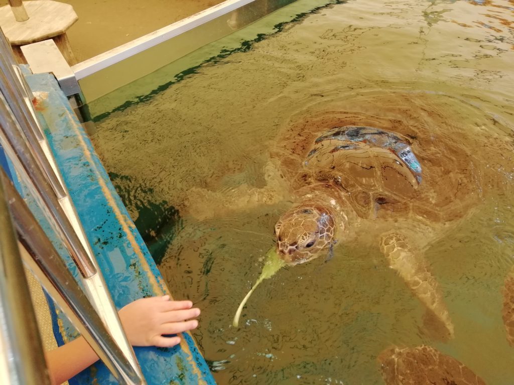 越前松島水族館