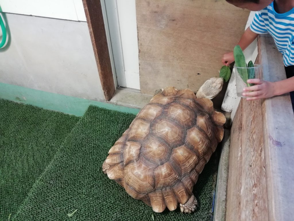 越前松島水族館
