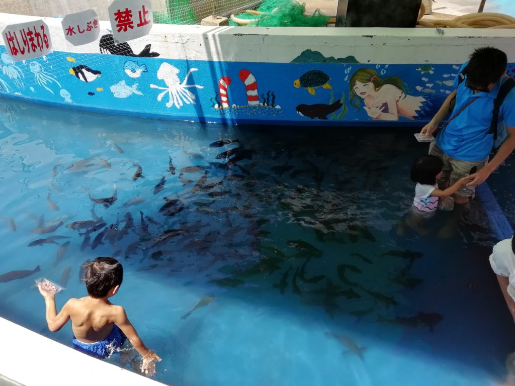 越前松島水族館 ふれあい