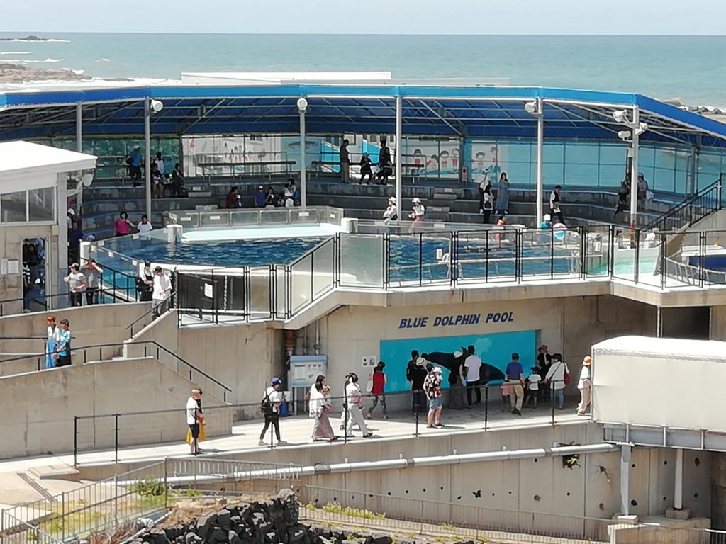越前松島水族館
