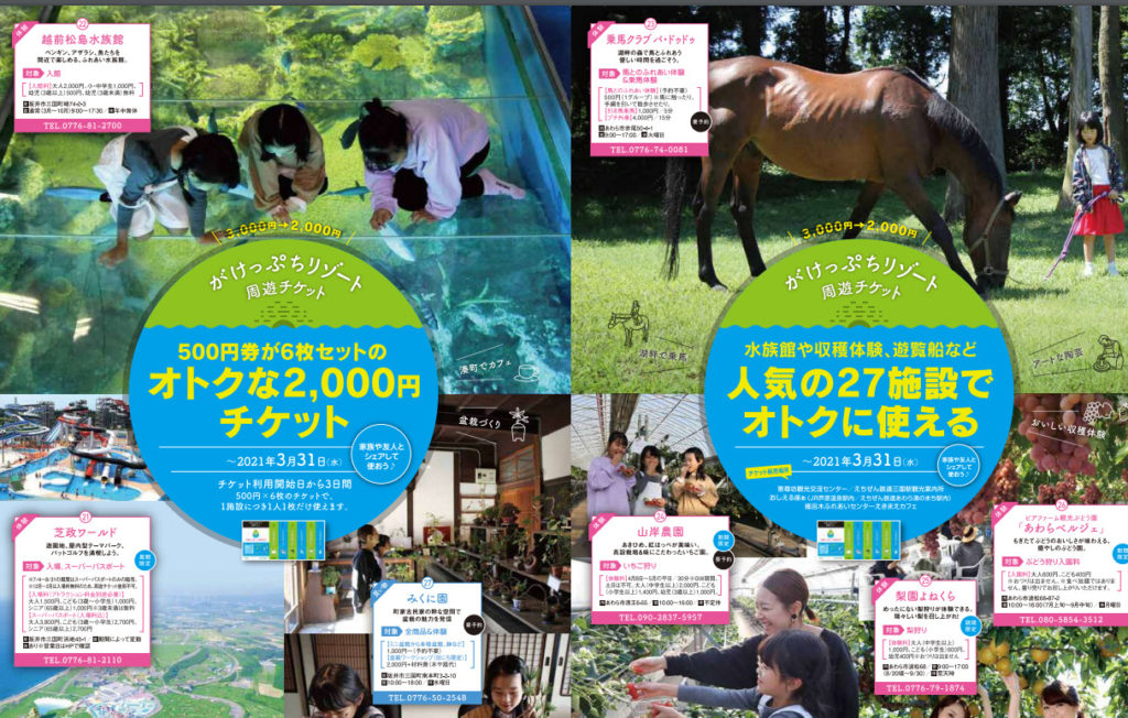 越前松島水族館 500円割引券