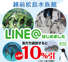 越前松島水族館 割引