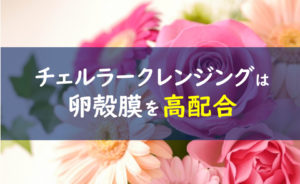チェルラーパーフェクトクレンジングジェル 卵殻膜