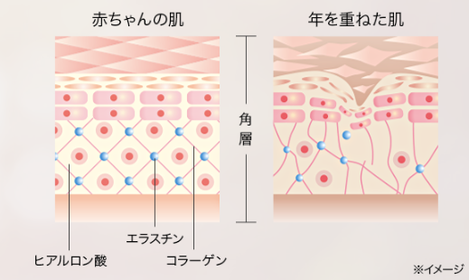 イミニリペアセラム効果