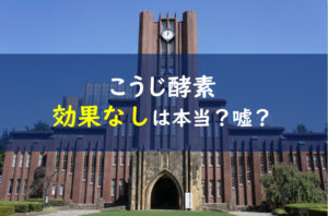 こうじ酵素の口コミは効果なし 麹の危険な副作用って本当なの 一条工務店とイツキのブログ こうじ酵素の口コミは効果なし 麹の危険な副作用って本当なの 一条工務店とイツキのブログ