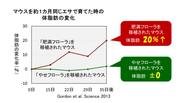 ラクビ 効果