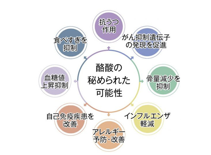 酪酸菌