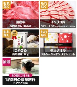 保険マンモス肉
