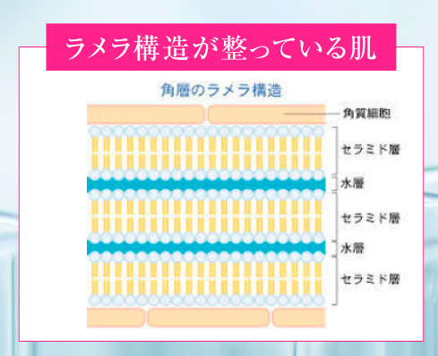 プロラヴィッシュ