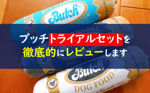 ブッチトライアル