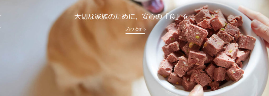 ブッチジャパンインク
