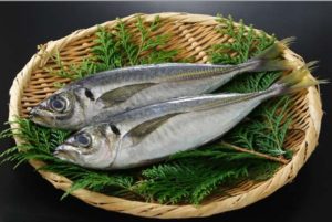 魚
