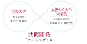 ナールスゲン