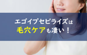 エゴイプセビライズ 毛穴