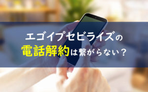 エゴイプセビライズ 電話解約