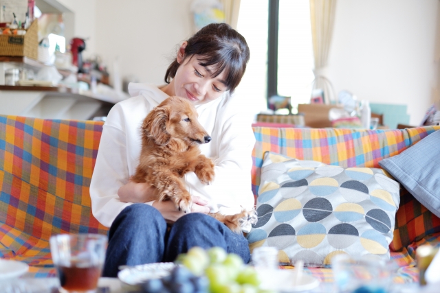 風水でこだわるべきリビングの方角 配置と色の関係性とは 一条工務店とイツキのブログ 風水でこだわるべきリビングの方角 配置と色の関係性とは 一条工務店とイツキのブログ