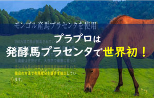 プラプロ プラセンタプロテオ粒