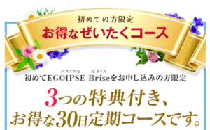 エゴイプセビライズ