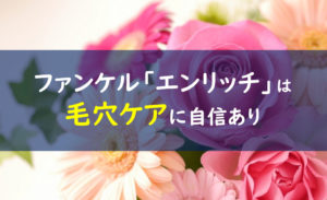 ファンケルエンリッチ毛穴