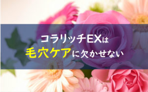 コラリッチEX 毛穴