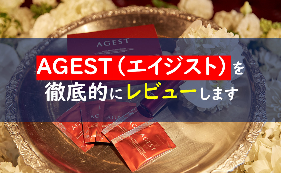 Agest エイジスト は効果ない 解約まで徹底評価 一条工務店とイツキのブログ
