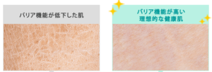 ファンケル乾燥敏感肌ケア