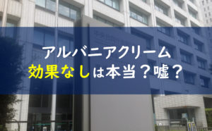 アルバニアホワイトニングクリームの口コミは嘘 偽物で効果なしって本当 一条工務店とイツキのブログ