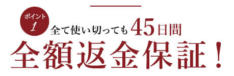 agestエイジスト返金保証